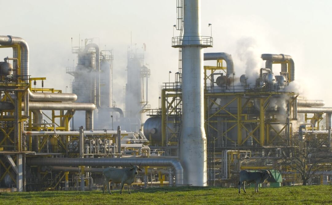 Petroleras tiene alto riesgo de quiebra, según estudio