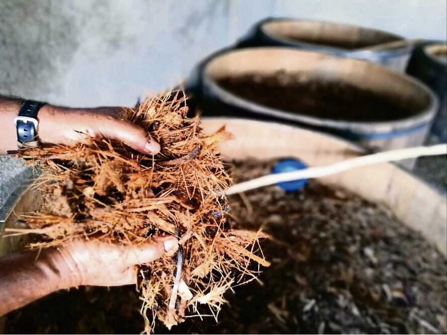 Mezcal produced in Oaxaca – Photo: Ismael García/EL UNIVERSAL
