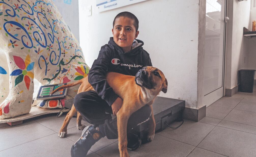 Cientos de perros esperan en Huixquican ser dados en adopción a alguna familia que los quiera, la mayoría son perros mestizos de talla mediana a grande. Fotos: de YARETZY M. OSNAYA