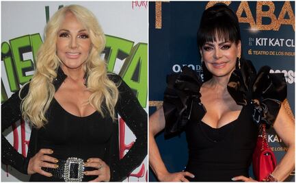 Olivia Collins asegura que Maribel Guardia tiene razones de peso para buscar que su nieto esté con ella