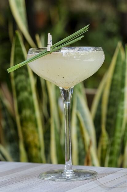 Dale un twist a la clásica Margarita con las recetas de reconocidos bartenders