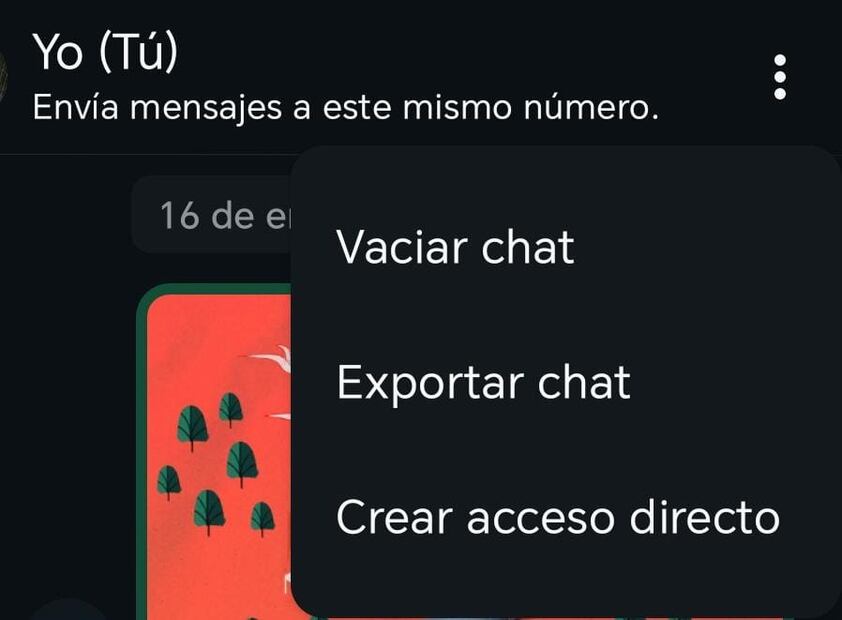 Puedes crear un acceso directo a un contacto desde el chat de WhatsApp. Foto: Captura de pantalla