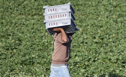 Jornaleros de San Quintín anuncian boicot comercial