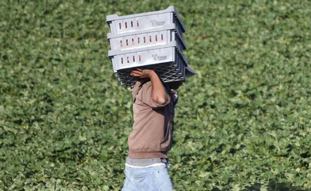 Foto: Archivo Reuters