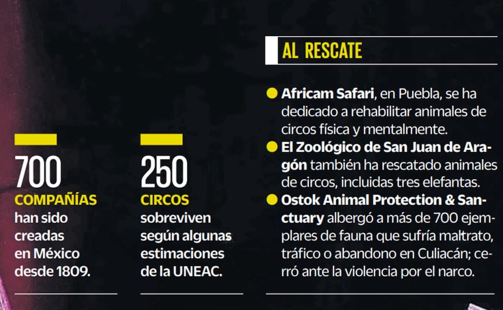 EL UNIVERSAL.