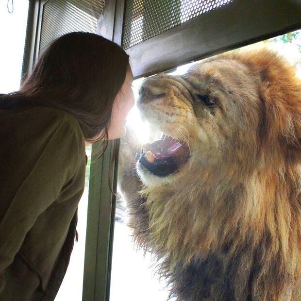 Foto: Áfricam Safari