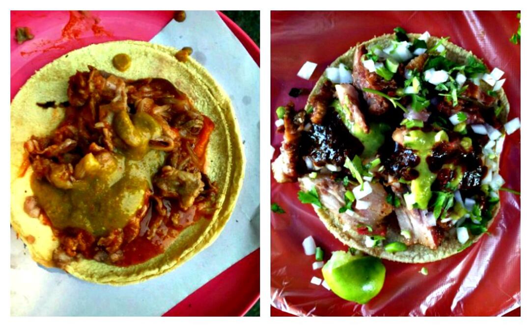 Foto: Alonso Ruvalcaba