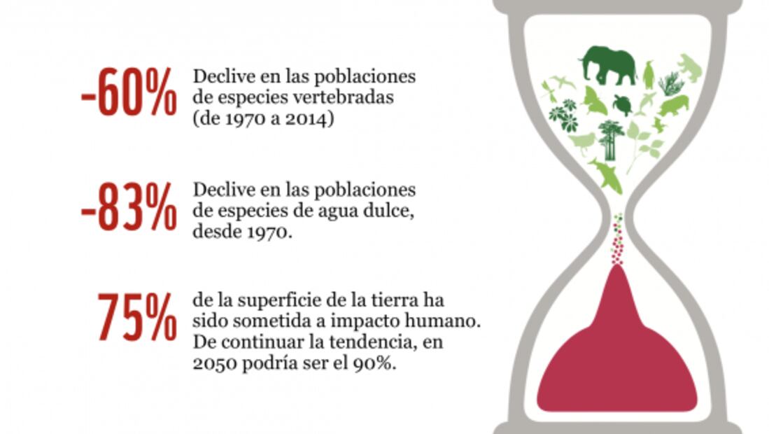 México, entre los países de América Latina que más ha perdido su biodiversidad