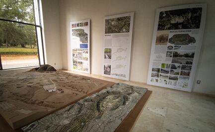 En Los Pinos exponen avances del Plan Maestro del Bosque de Chapultepec