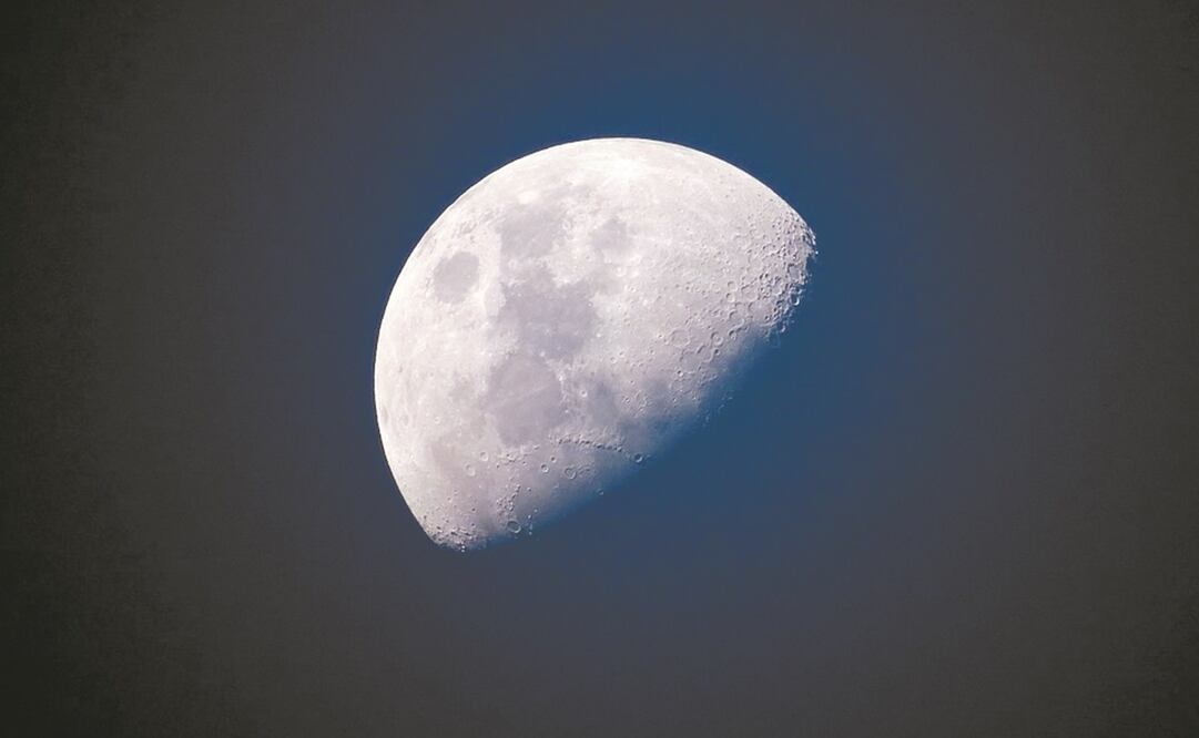 Foto: Archivo. EL UNIVERSAL