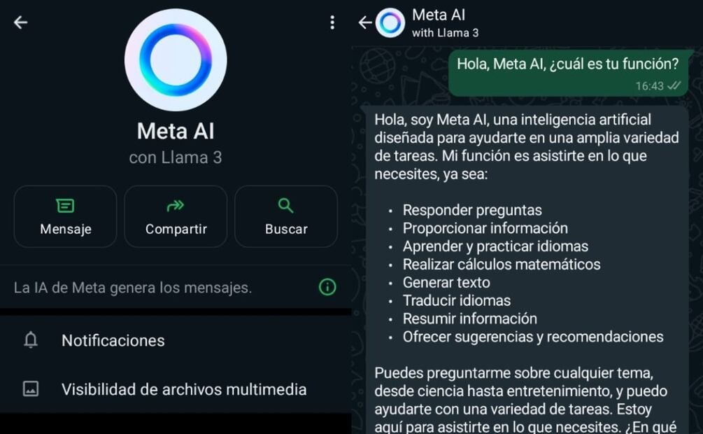 Imagen: captura de pantalla