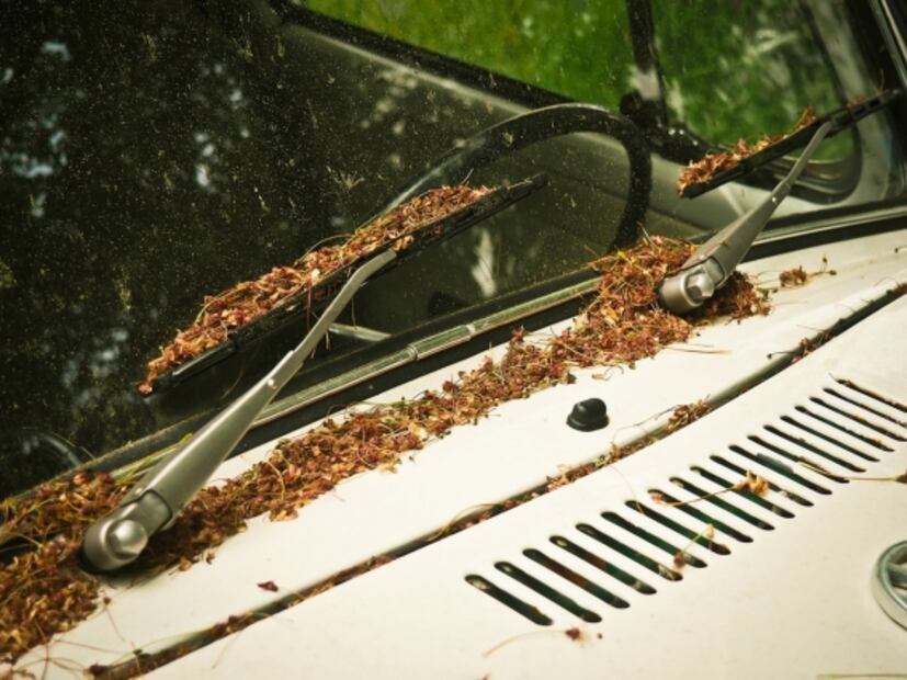 Cómo cuidar los limpiaparabrisas de tu auto