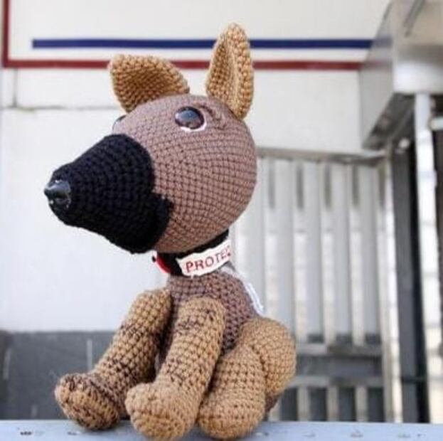 Proteo: Refugio de animales en Turquía lleva el nombre del perro rescatista