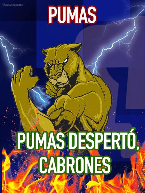 Pumas Memes