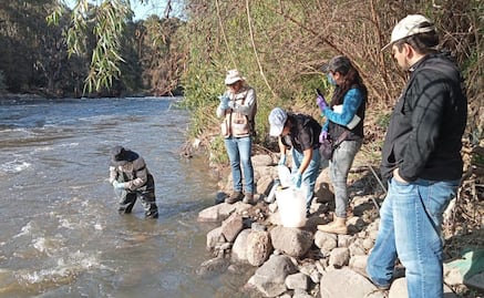 Realizan estudios en aguas del Río Tula para identificar fuentes de contaminación; buscan realizar acciones de saneamiento