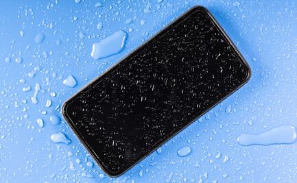 ¿Qué hacer si se te cae el celular a la alberca?