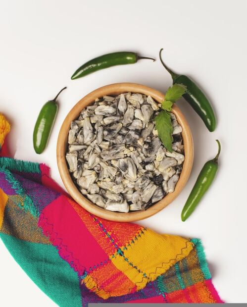 Hongos comestibles, un manjar de temporada