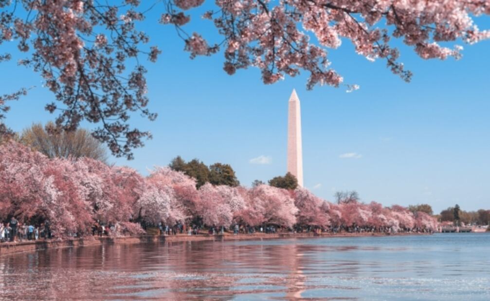 Requisitos para viajar a Estados Unidos y Canadá en marzo de 2022