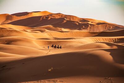 ¿Dónde está el Sahara y qué tan grande es este desierto?
