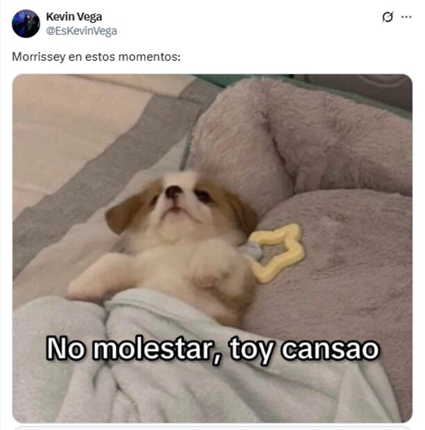 El cantante británico suspendió nuevamente sus presentaciones en el país y usuarios reaccionan en redes con divertidos memes. Foto: Captura de pantalla 'X'