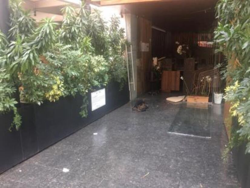 Se registra flamazo en cafetería de Lomas de Chapultepec