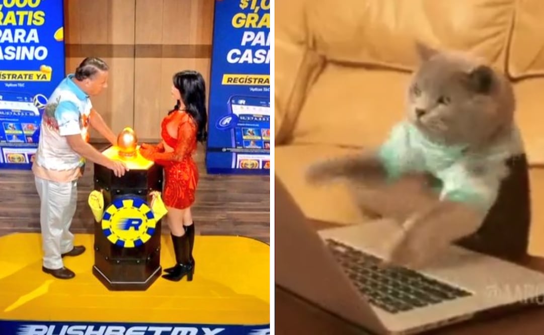 Los mejores memes que dejó la novena Asamblea de nominaciones en La Granja VIP. Foto: X