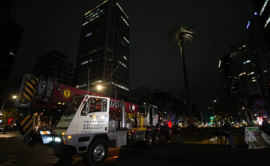 Comienzan los trabajos de remoción de La Palma de Paseo de la Reforma. Foto: Carlos Mejía