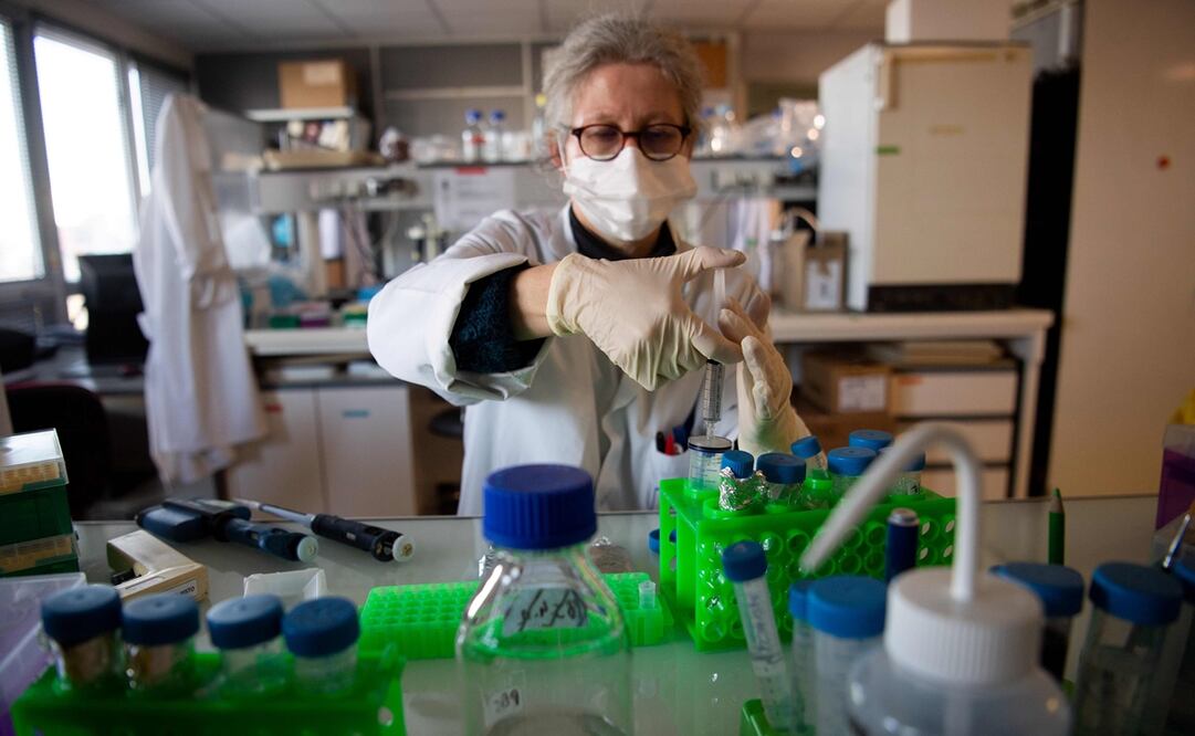 Foto: LOIC VENANCE / AFP