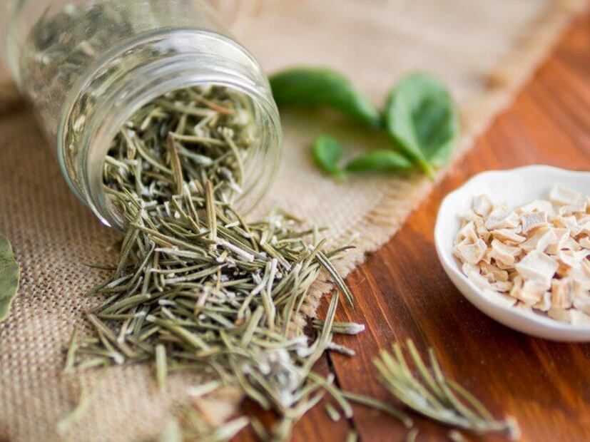 El Romero es el aliado natural para potenciar la memoria y aliviar el estrés. Fuente: Freepik.