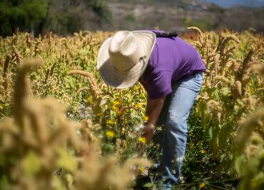 Secretarías de Agricultura y Bienestar acuerdan acciones conjuntas para programas sociales