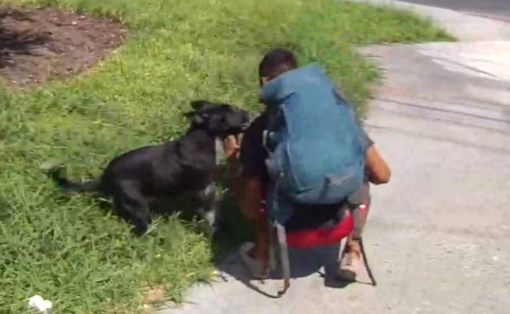 Amílcar Jaimes y su perro Niño Foto: Fuerza Informativa Azteca