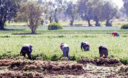 Fellow Nationals collect savings from U.S. increasing remittances flow into Mexico