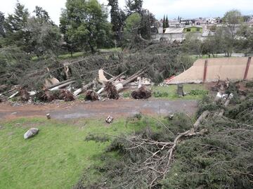 Por tormenta, caen más de 150 árboles en el Seminario Diocesano de Toluca