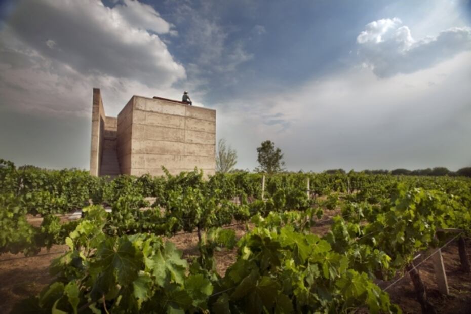Gloria Gaynor cantará I Will Survive en un viñedo de Guanajuato