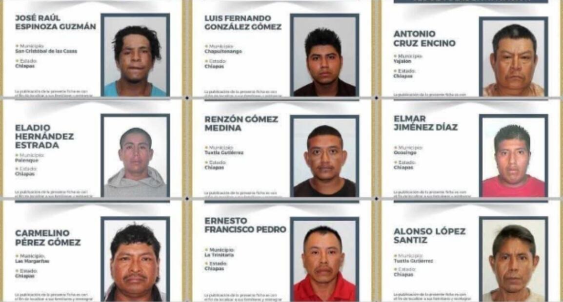 Los 24 chiapanecos que llegaron a Quintana Roo para trabajar (31/07/2025). Foto: Especial