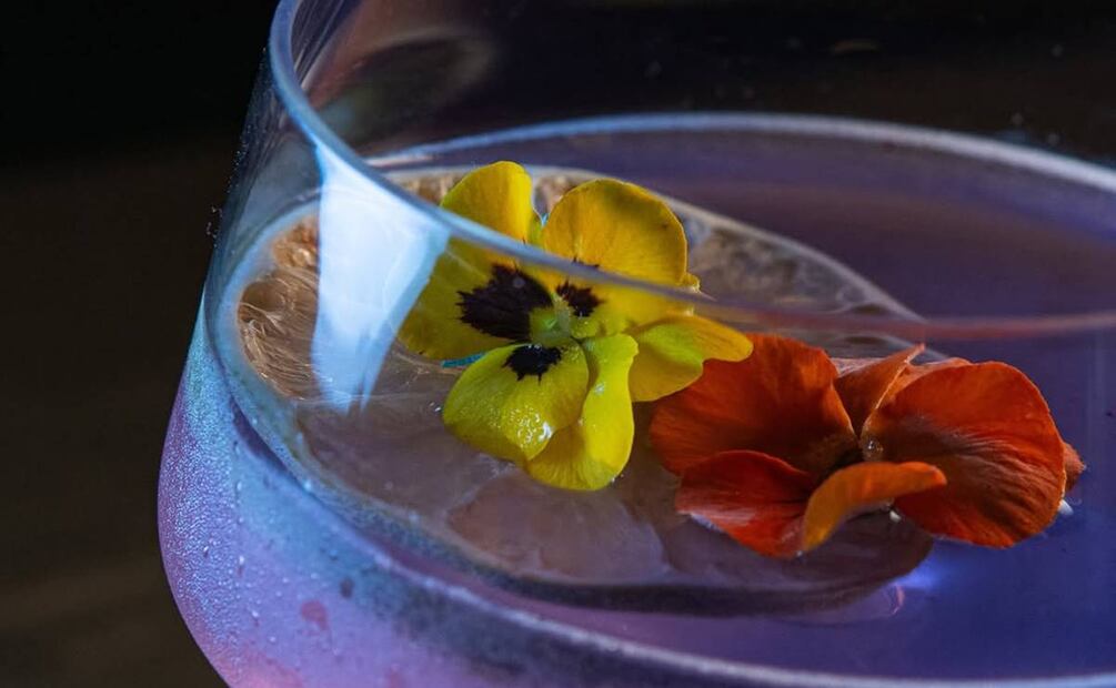 Matuche, un bar solo de destilados mexicanos. Foto: Instagram