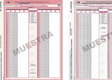 Silvia Rocío Delgado, Erik Salvador Nevarez, Óscar Sámano Alarcón, son algunos de los perfiles a elección judicial ligados al narco