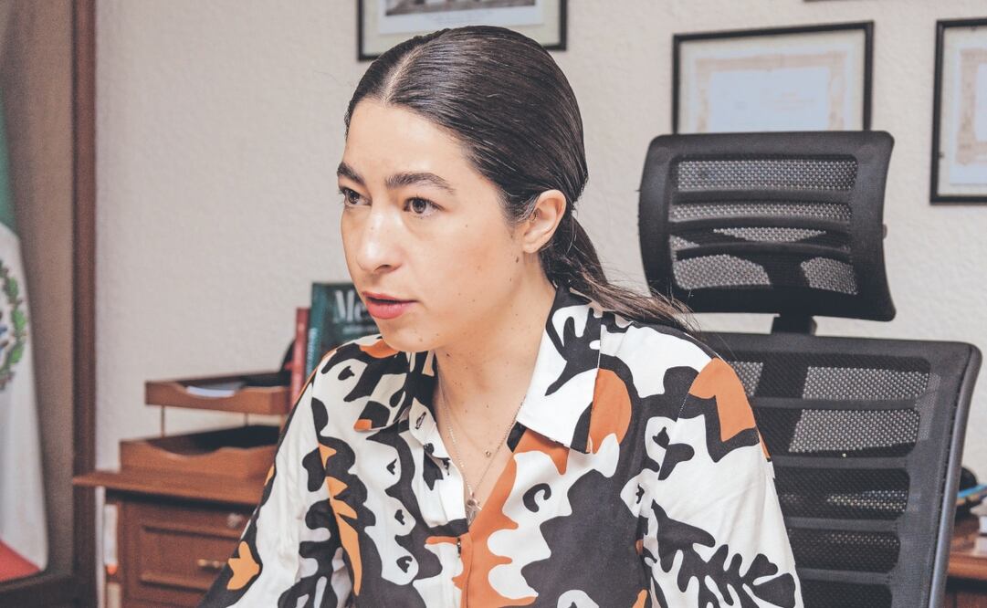 Manola Zabalza explicó que el sistema de trámites operará en su totalidad el 8 de julio. Foto: de Yaretzy M. Osnaya. EL UNIVERSAL