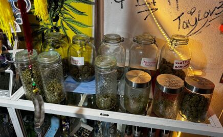 FOTOS. La SSC en coordinación con la FGJ y GN aseguran 24 kilos de marihuana y detienen a 4 en cateo en Coyoacán