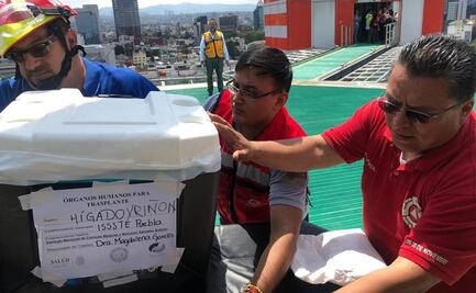 Trasplante de hígado aumenta calidad de vida de pacientes hepáticos