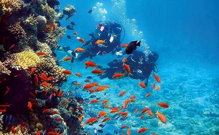 John Kerry reconoce logros de México en pro de la vida marina