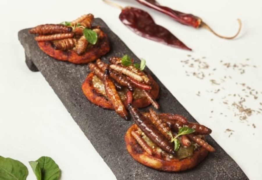 Arroz con bichos y otras recetas con insectos