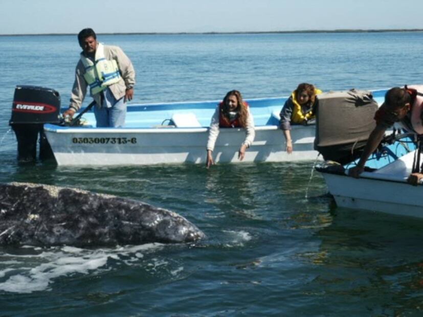 "Sentados y quietos" es la orden del sexenio
