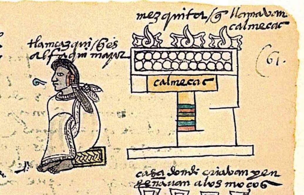 Tenían los mexicas escuela para "fifís"