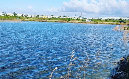 Tormentas tropicales dejan a su paso lagunas naturales en Mérida 