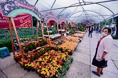 Llegan las flores de cempasúchil a Reforma