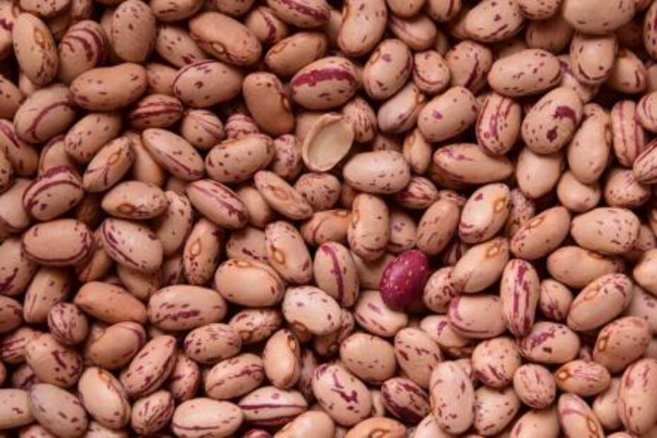 Cuántos tipos de frijoles existen y para qué guiso se utilizan 