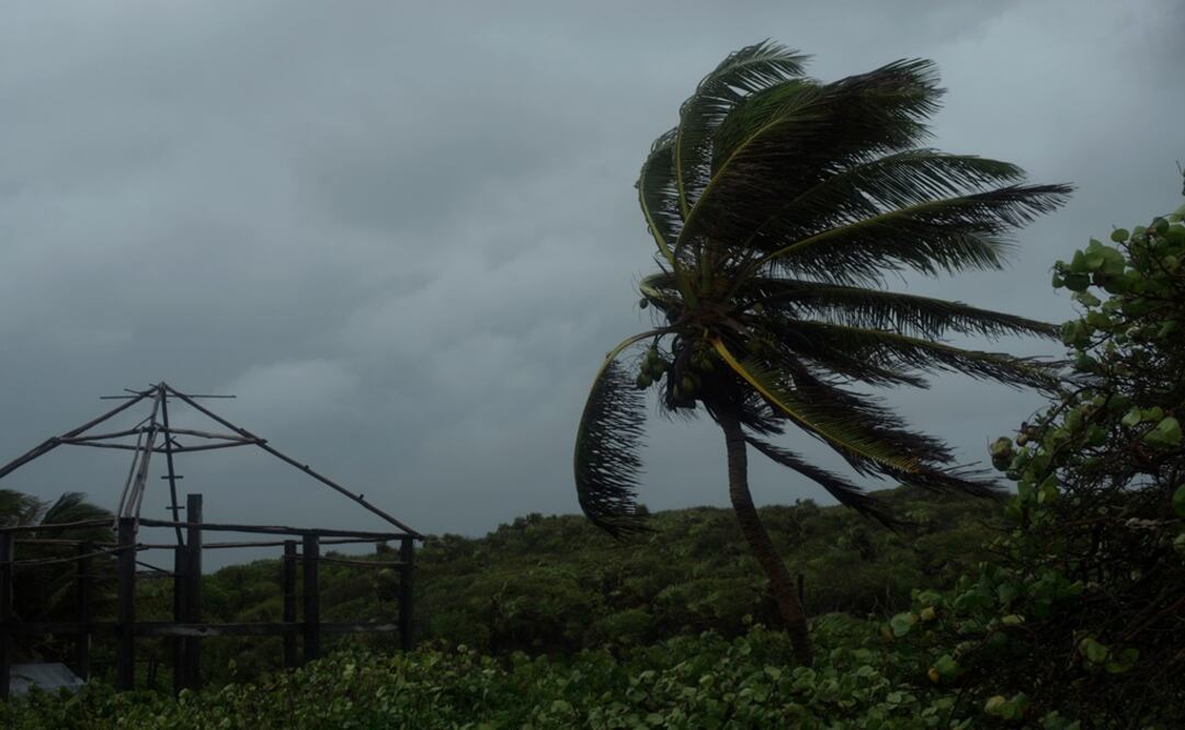 Foto: Archivo/ Cuartoscuro