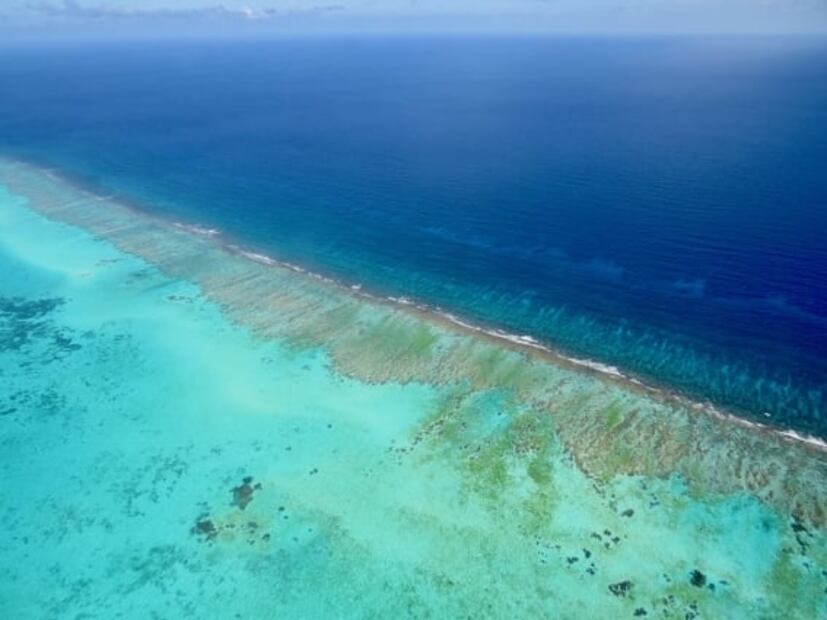 Qué hay en el fondo del Gran Agujero Azul, en Belice