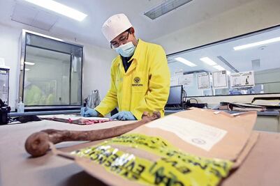 Realizan estudios genéticos a cuerpos hallados en camioneta abandonada en Sinaloa; podrían pertenecer a personas desaparecidas en carretera Los Mochis-Ahome